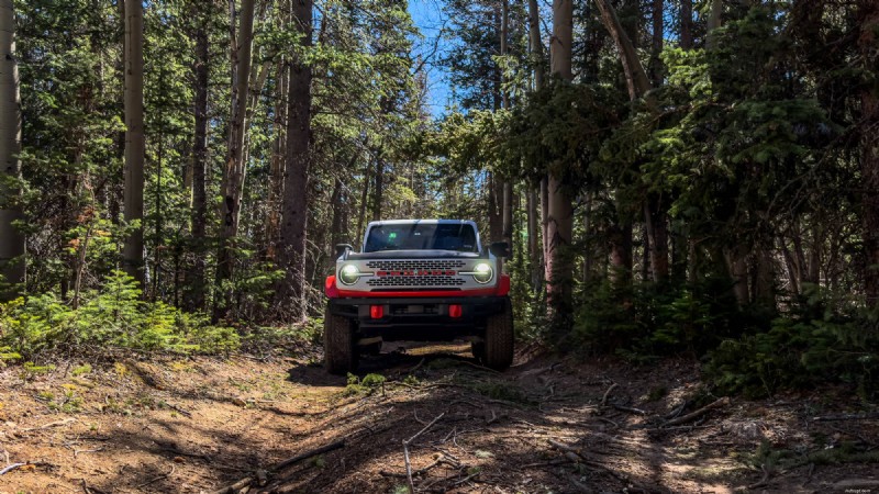 Ford Bronco, 콜로라도의 가장 험난한 트레일을 10시간 동안 주행:성능 리뷰