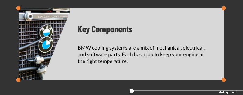 텍사스주 댈러스 및 플레이노의 전문 BMW 냉각 시스템 서비스 