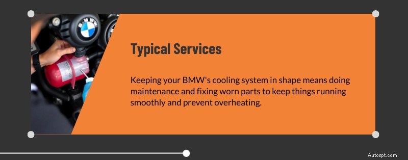 텍사스주 댈러스 및 플레이노의 전문 BMW 냉각 시스템 서비스 