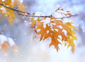 겨울 타이어 타이밍:안전한 계절 전환을 위한 전문가 팁 